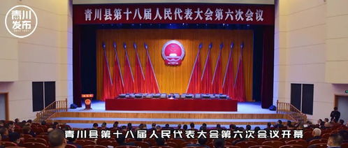 互联网文化活动的兴起与发展